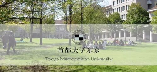 北京大学文学考研有多难