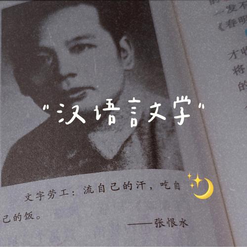 关于汉语言文学的诗