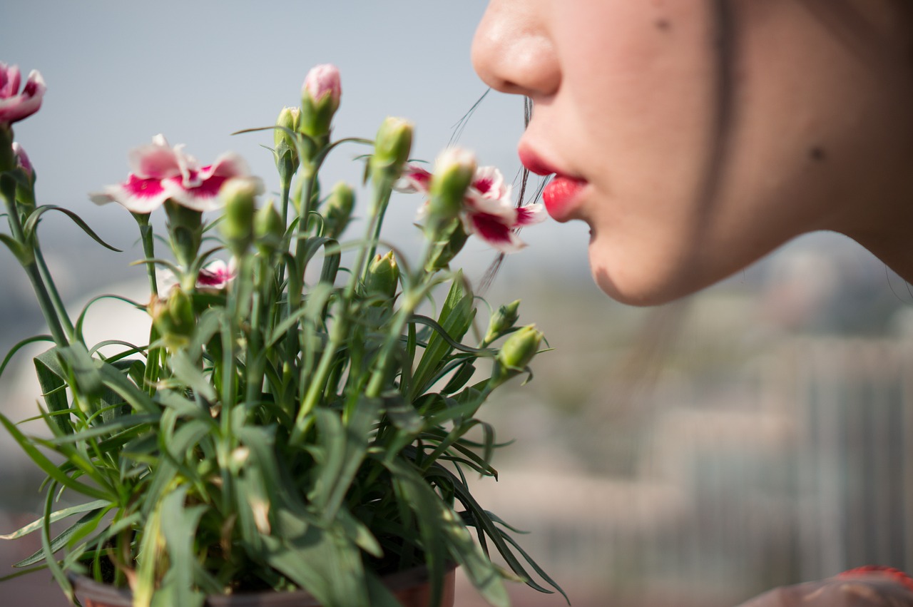 女子花光妈妈百万积蓄伪造假存单，背后的故事与反思