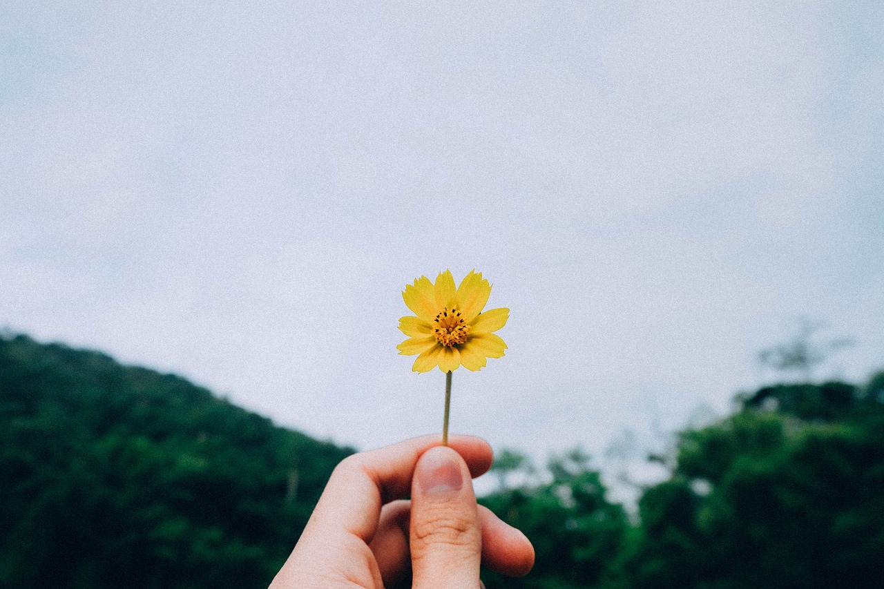 遇见的诗篇——我与散文生活