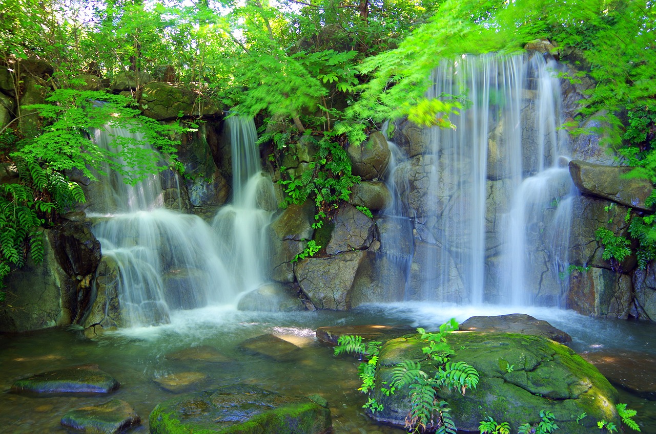 游千山万水——我人生的一段旅程