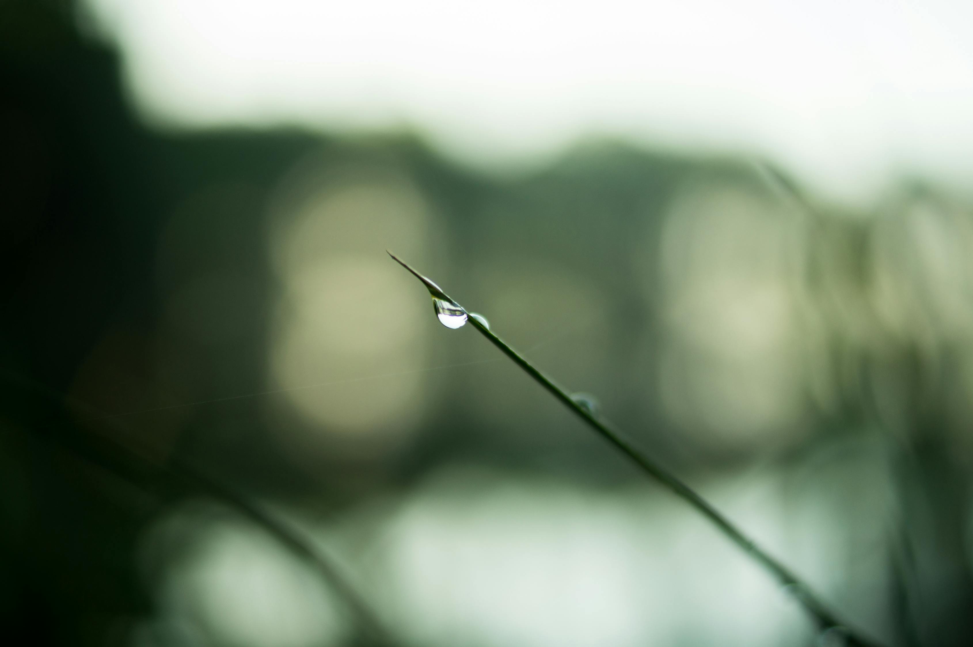 初夏之雨