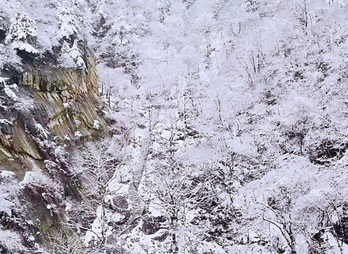 雪拥蓝关马不前的蓝关在哪里