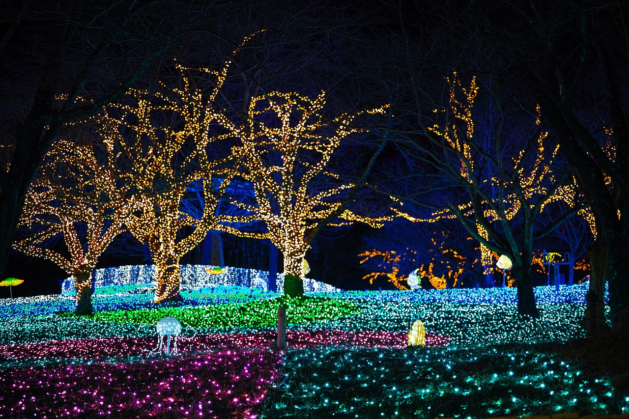 北京飘雪了，一场冬日里的浪漫与变化