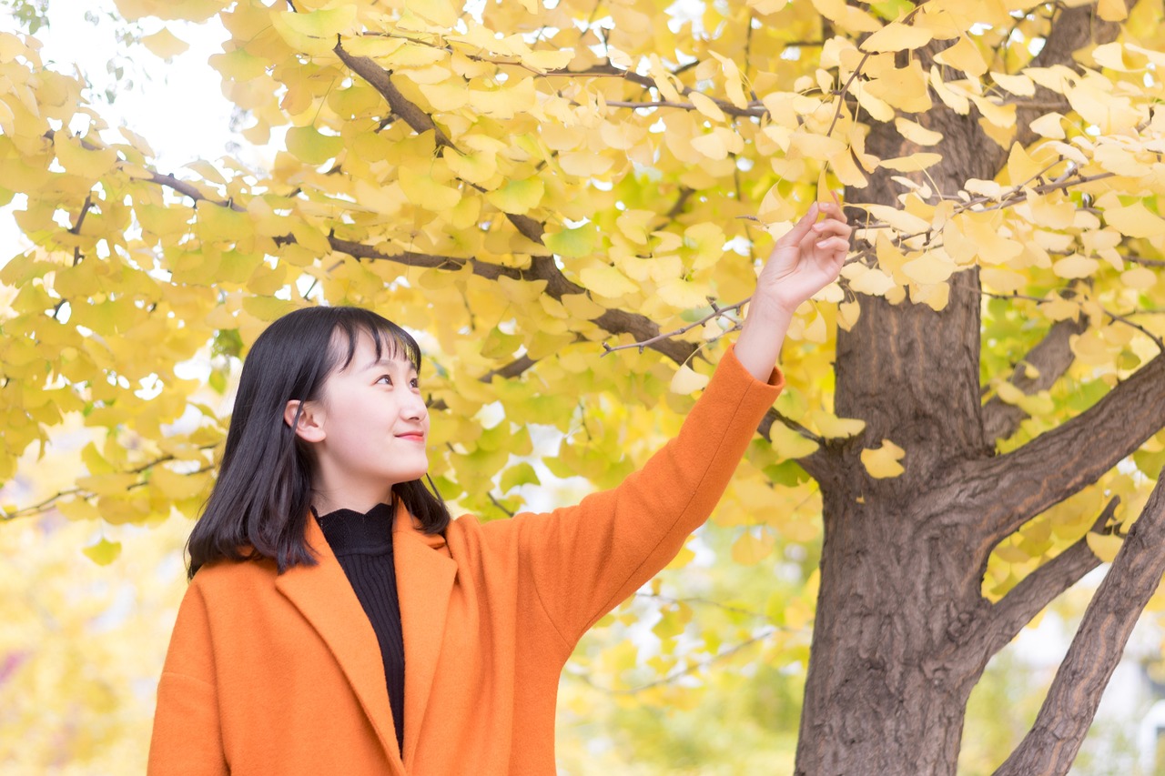 大学生活中的小小世界，校园小说的魅力