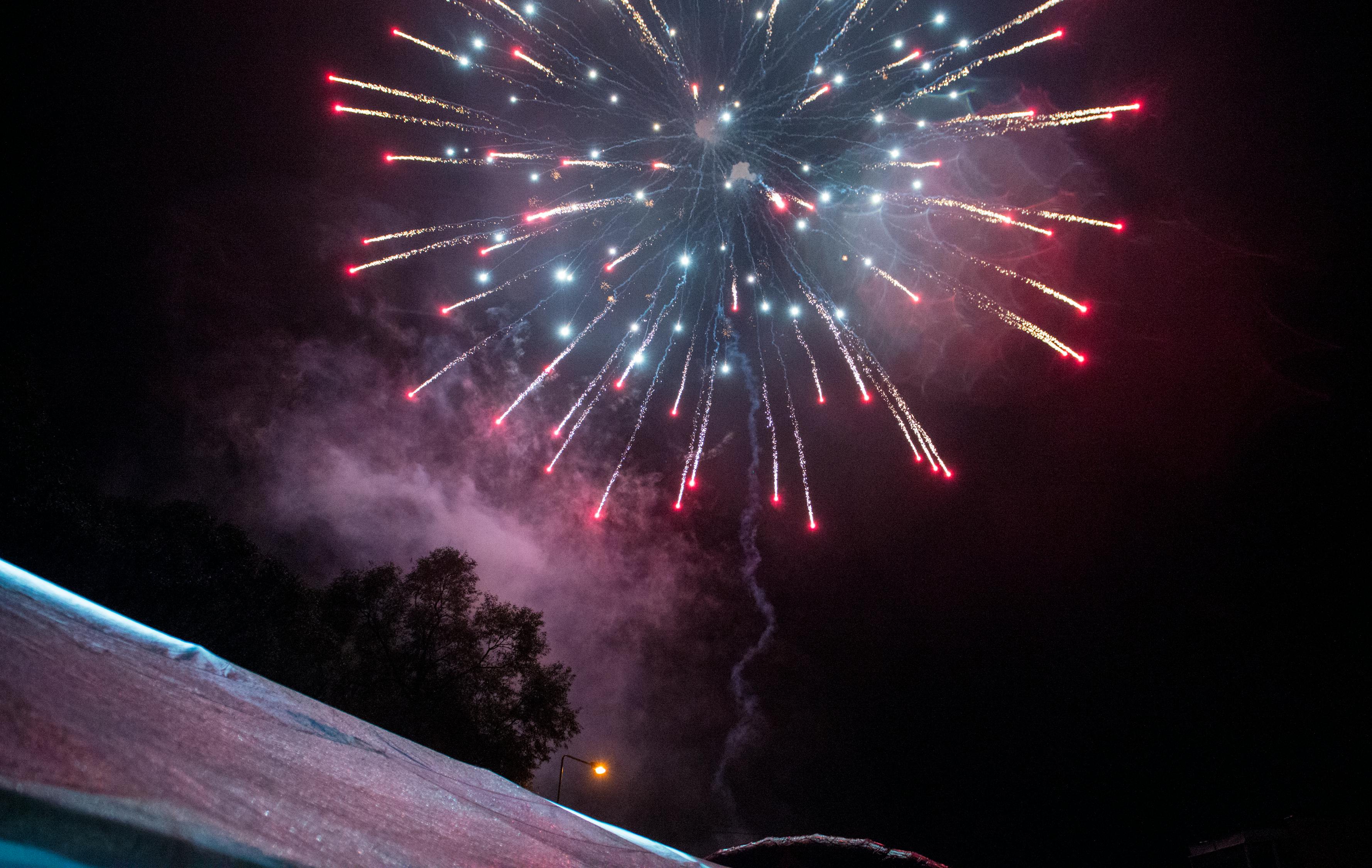 温馨的新年祝福