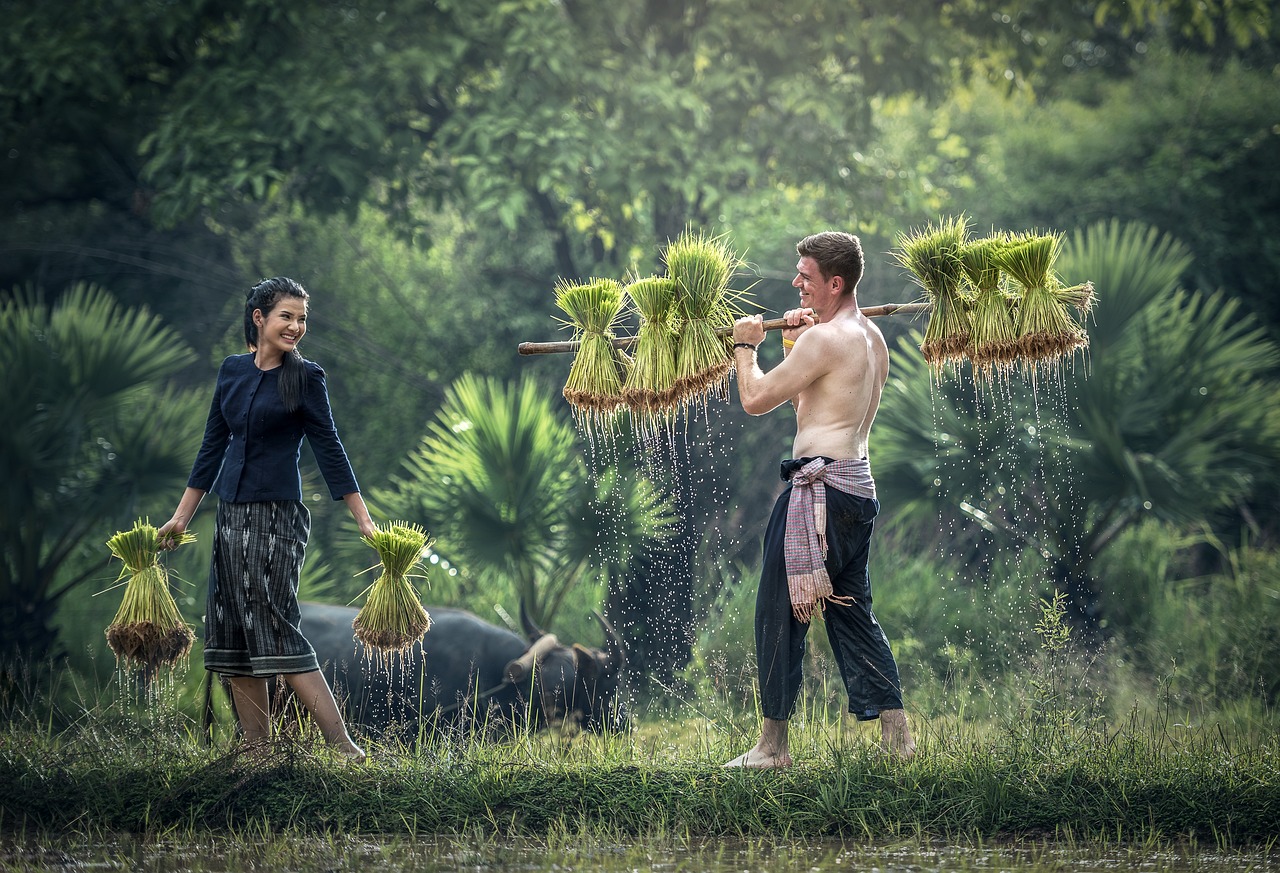 重生之极品男妾，解读独特魅力与命运的力量