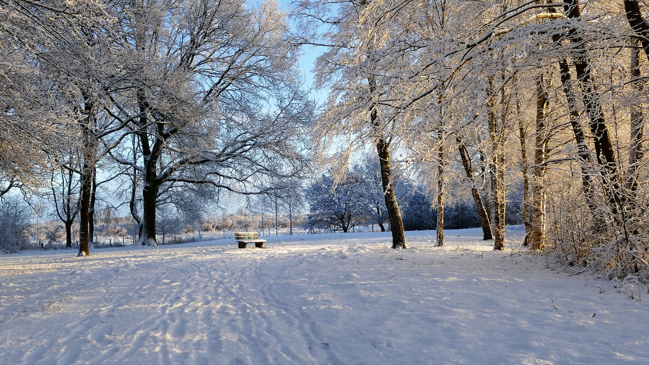 冰雪奇缘的欢笑声