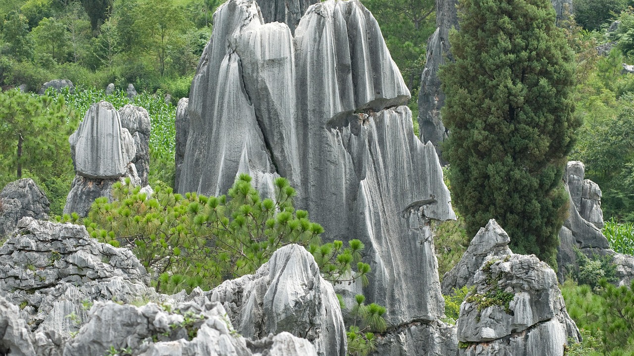 云南大理旅游图片