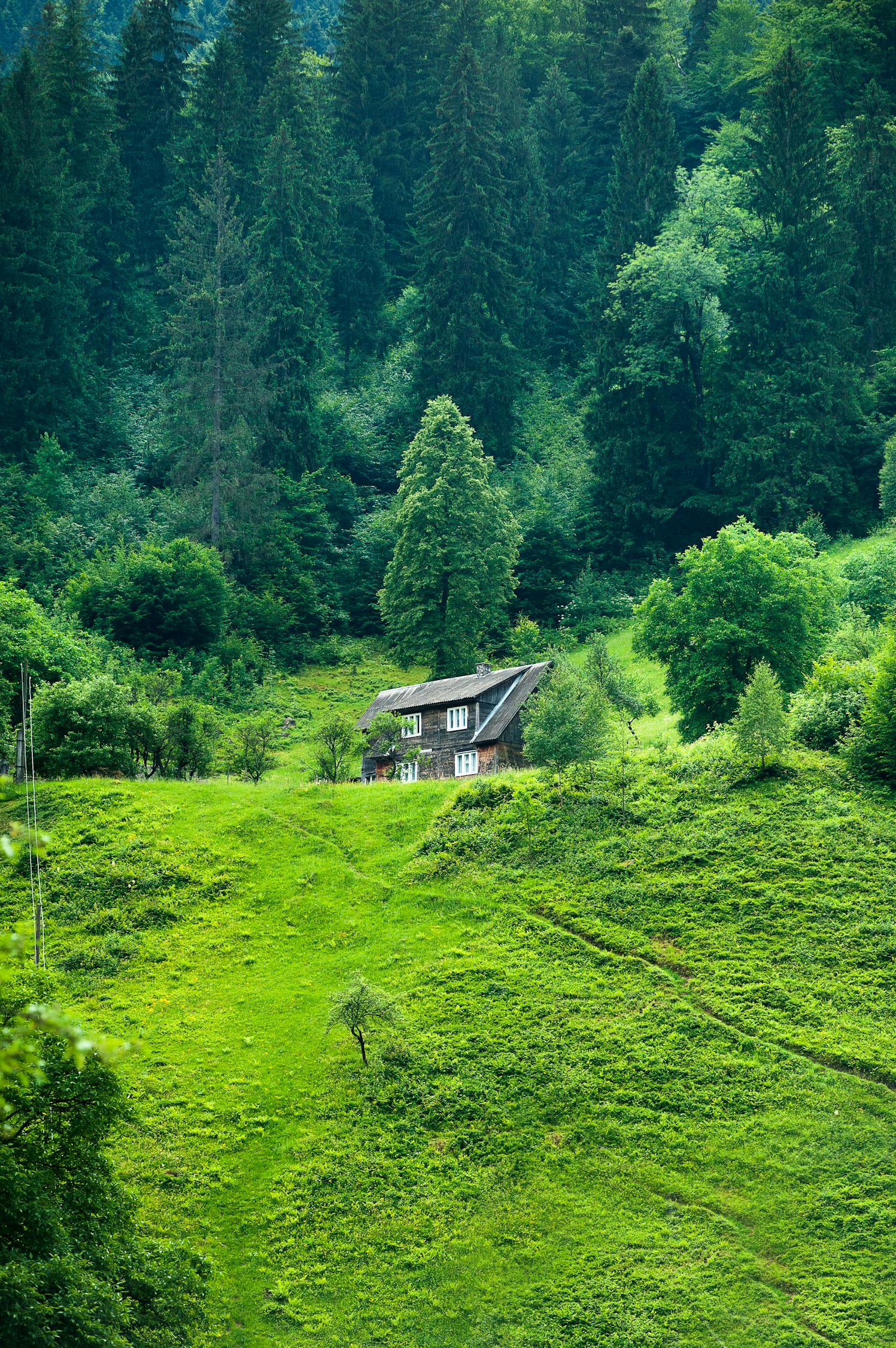 文明旅游记录，共筑美好未来