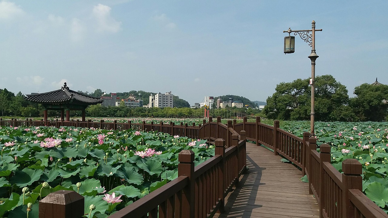 鞍山韩国旅游攻略