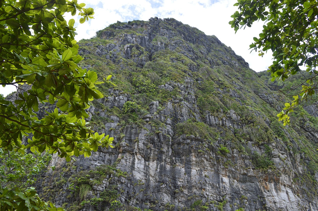 河南原生态旅游景区，探索自然与文化的和谐共生